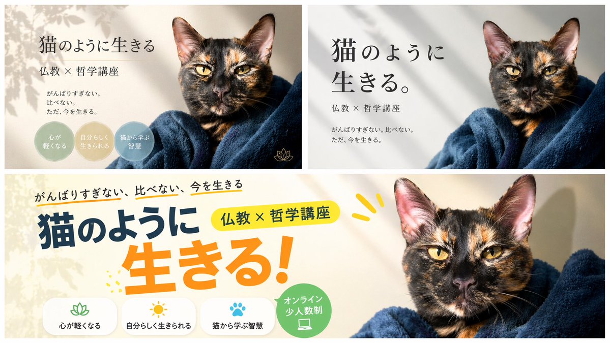 横幅设计变体布局